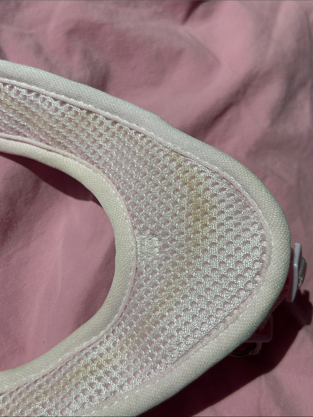 Pink Harness - Picture 6 of 9